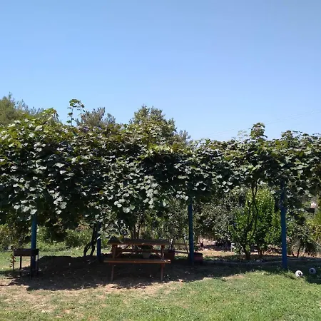 Kalamaki * Ağaçlı