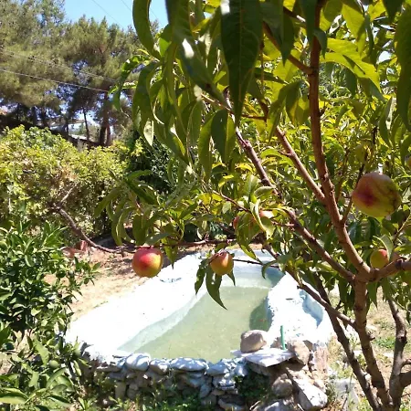 Kalamaki Apartment Ağaçlı