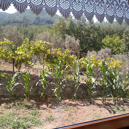 Kalamaki * Ağaçlı