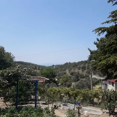 Kalamaki * Ağaçlı