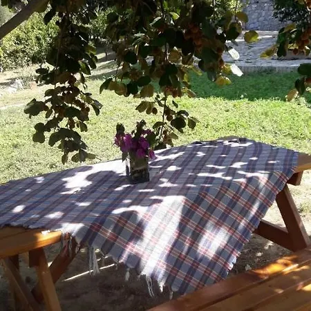 Kalamaki * Ağaçlı